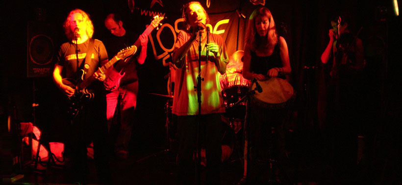 roots-rock band Loscoe State Opera, the Fishpond, 2009